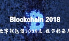 如何通过数字钱包借5000元：操作指南与注意事项