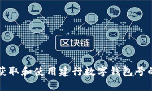 如何有效获取和使用建行数字钱包号的终极指南