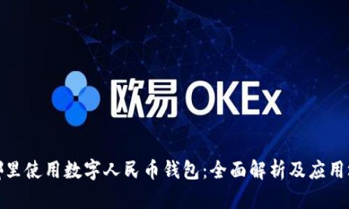 在哪里使用数字人民币钱包:全面解析及应用场景