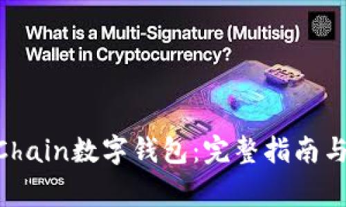 如何下载OneChain数字钱包:完整指南与安全注意事项