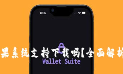 TPWallet苹果系统支持下载吗？全面解析与用户指南