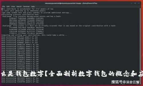 什么是钱包数字？全面剖析数字钱包的概念和应用