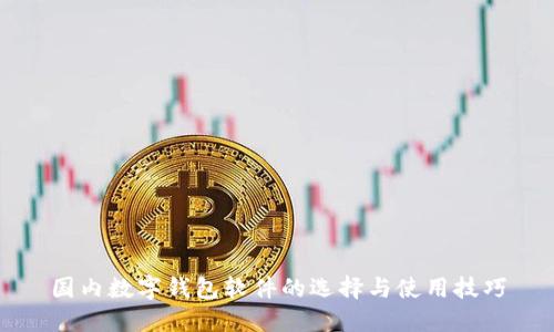 国内数字钱包软件的选择与使用技巧