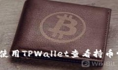 如何使用TPWallet查看持币情况？