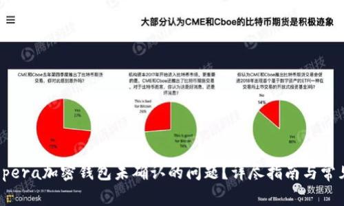 如何解决Opera加密钱包未确认的问题？详尽指南与常见疑问解答