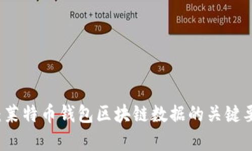 全面分析：莱特币钱包区块链数据的关键要素与应用