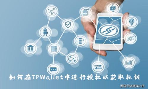 如何在TPWallet中进行授权以获取私钥