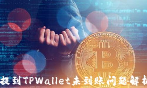 
币安交易所提到TPWallet未到账问题解析及解决方法