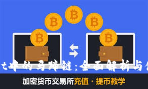 TPWallet中的马蹄链：全面解析与使用指南