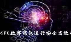 如何使用DCPE数字钱包进行安全高效的