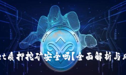 TPWallet质押挖矿安全吗？全面解析与风险评估