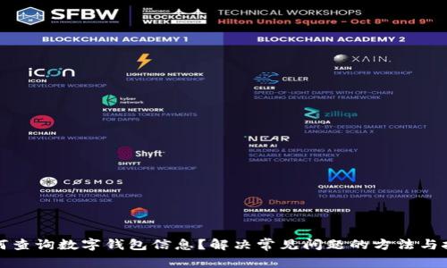 如何查询数字钱包信息？解决常见问题的方法与技巧