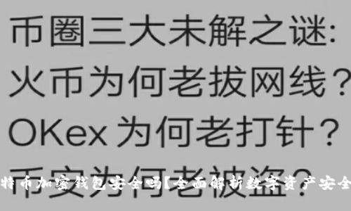 比特币加密钱包安全吗？全面解析数字资产安全性