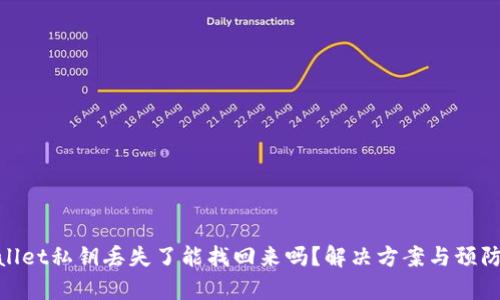 tpwallet私钥丢失了能找回来吗？解决方案与预防措施
