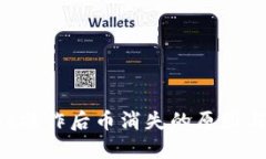  TPWallet操作后币消失的原因与解决办法