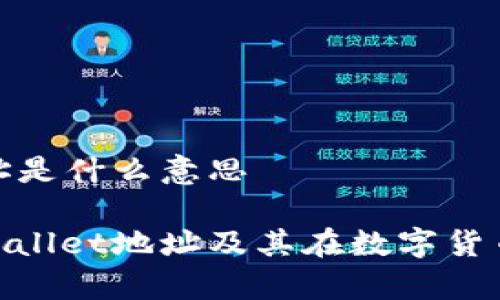 tpwallet地址是什么意思

深入了解tpwallet地址及其在数字货币中的重要性