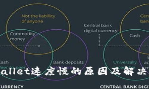 TPWallet速度慢的原因及解决方案