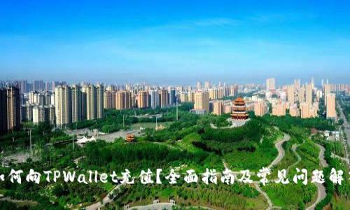 如何向TPWallet充值？全面指南及常见问题解答