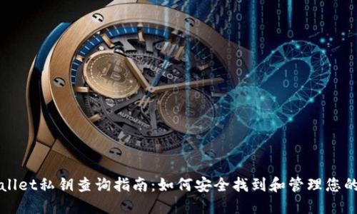 TPWallet私钥查询指南：如何安全找到和管理您的私钥