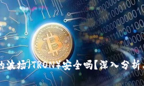 TPWallet的波场（TRON）安全吗？深入分析与使用指南