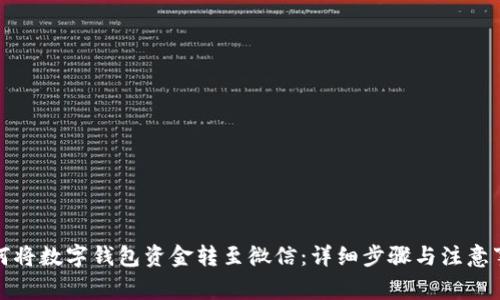 如何将数字钱包资金转至微信：详细步骤与注意事项