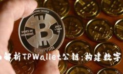 Title: 全面解析TPWallet公链：构建数字资