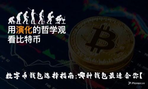 数字币钱包选择指南：哪种钱包最适合你？