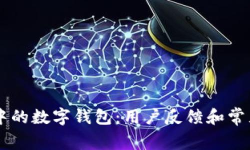 黑猫投诉中的数字钱包：用户反馈和常见问题解析