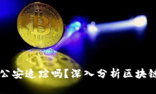 TPWallet能被公安追踪吗？深入分析区块链钱包的隐私性