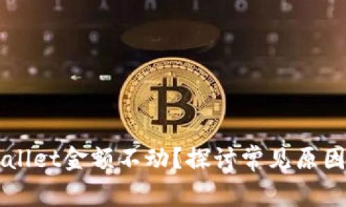 为什么TPWallet金额不动？探讨常见原因及解决方案