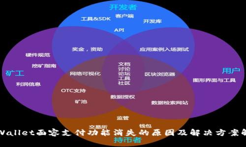 TPWallet面容支付功能消失的原因及解决方案解析