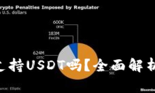 TP Wallet支持USDT吗？全面解析及使用指南