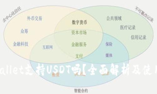 TP Wallet支持USDT吗？全面解析及使用指南