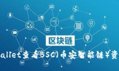 如何通过TPWallet查看BSC（币安智能链）