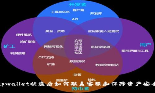 tpwallet被盗后如何联系客服和保障资产安全