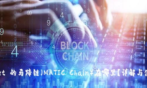 TPWallet 的马蹄链（MATIC Chain）在哪里？详解与使用指南