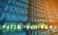 TPWallet是什么？了解TPWallet背后的公司