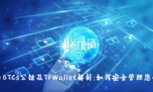 : 中本聪币BTCs公链及TPWallet解析：如何安全管理您的数字资产