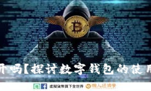 数字钱包可以多开吗？探讨数字钱包的使用限制与管理技巧