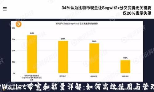 
TPWallet带宽和能量详解：如何高效使用与管理?