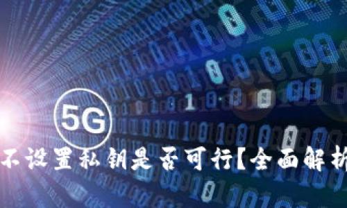 TPWallet: 不设置私钥是否可行?全面解析与实用指南