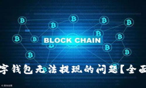 如何解决数字钱包无法提现的问题？全面指南与技巧