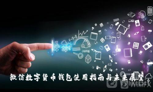 微信数字货币钱包使用指南与未来展望