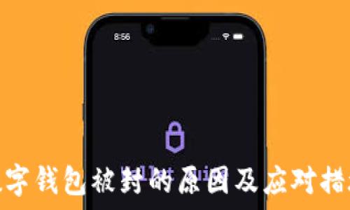 数字钱包被封的原因及应对措施