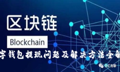 数字钱包提现问题及解决方法全解析