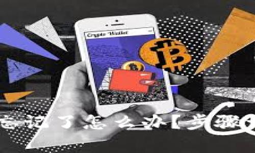 TPWallet密码忘记了怎么办?步骤详解与恢复指南