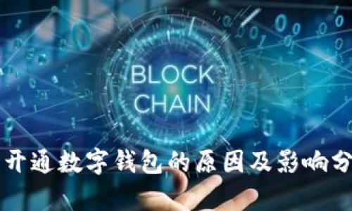 未开通数字钱包的原因及影响分析
