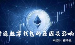 未开通数字钱包的原因及影响分析