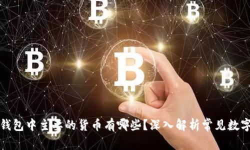 数字钱包中主要的货币有哪些?深入解析常见数字资产