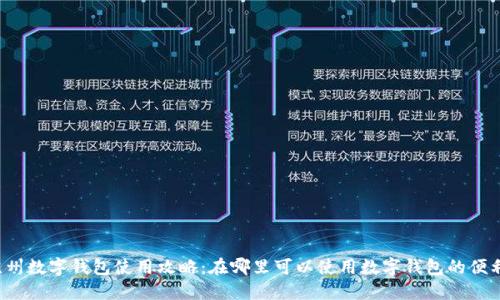 苏州数字钱包使用攻略:在哪里可以使用数字钱包的便利?